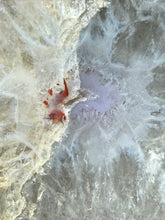 Load image into Gallery viewer, Natural Laguna Agate Collector Mineral Specimen | Chihuahua, Mexico