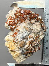 Load image into Gallery viewer, Natural Vanadinite on Matrix | Collector Mineral Specimen | Morocco