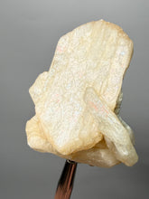 Load image into Gallery viewer, Peach Stilbite Mineral Collector’s Specimen — Deccan Traps, Maharashtra, India