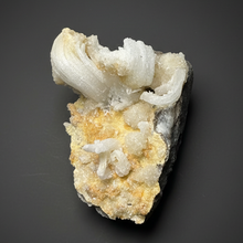 Load image into Gallery viewer, Moroccan Ram’s Horn Selenite (Gypsum) Crystal Display Specimen