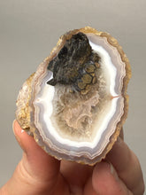 Load image into Gallery viewer, Natural Laguna Agate Collector Mineral Specimen | Chihuahua, Mexico