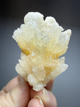 Load image into Gallery viewer, Golden Coral Aragonite Crystal Specimen – Wenshan Mine, Yunnan, China