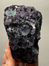 Load image into Gallery viewer, High-Grade Rare Purple-Green-Blue Cubic Fluorite | Cabinet Mineral Collector Specimen | Zhejiang Province, China