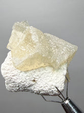 Load image into Gallery viewer, Rare Druzy Golden “Diamond” Calcite on Zeolite Matrix — Maharashtra, India | Collector Cabinet Specimen