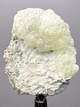 Load image into Gallery viewer, Vibrant Yellow Brucite Thumbnail Mineral Specimen | Collector Crystal from Killa Saifullah District in Balochistan Province, Pakistan