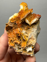 Load image into Gallery viewer, Natural Vanadinite on Matrix | Collector Mineral Specimen | Morocco