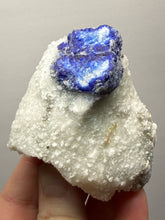 Load image into Gallery viewer, Afghanite & Lazurite on Matrix Collector Display Specimen | Badakhshan Region, Afghanistan