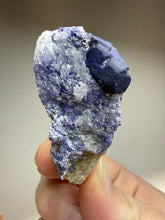 Load image into Gallery viewer, Afghan Lazurite Specimen | Deep Blue Lapis-Grade Crystal on Matrix | Collector Display Mineral