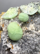 Load image into Gallery viewer, High-Grade Green Wavellite Collectors Specimen - Radiating Botryoidal Crystal Formation - Arkansas, USA