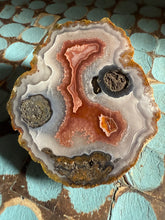 Load image into Gallery viewer, Agua Nueva Agate Nodule • High Grade Mineral Display Specimen • Mirror Polish