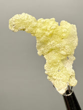Load image into Gallery viewer, Vibrant Yellow Brucite Thumbnail Mineral Specimen | Collector Crystal from Killa Saifullah District in Balochistan Province, Pakistan