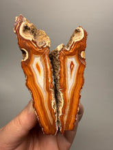 Load image into Gallery viewer, High-Grade Indonesian Sumatra Agate Pair – Vibrant Banded Chalcedony with Rich Color Zoning | Ethical Lapidary & Collector Display Specimens