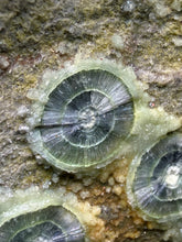 Load image into Gallery viewer, High-Grade Green Wavellite Collectors Specimen - Radiating Botryoidal Crystal Formation - Arkansas, USA