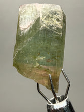 Load image into Gallery viewer, Raw Bi-Color Tourmaline Crystal Specimen | Ocean View Mine, Pala, California, USA
