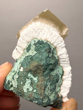 Load image into Gallery viewer, Rare Druzy Golden “Diamond” Calcite on Zeolite Matrix — Maharashtra, India | Collector Cabinet Specimen