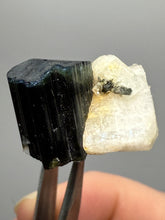 Load image into Gallery viewer, Blue Cap Dark Green Stak Nala Tourmaline and Cleavelandite – Haramosh Mountains, Pakistan | Thumbnail Specimen