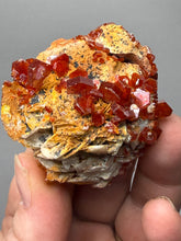 Load image into Gallery viewer, Natural Vanadinite on Matrix | Collector Mineral Specimen | Morocco