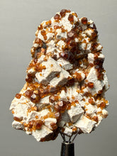 Load image into Gallery viewer, Hessonite Garnet on Feldspar | Mineral Collector Specimen | Pakistan