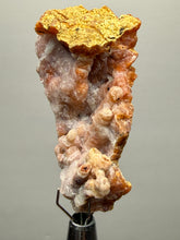 Load image into Gallery viewer, “Goblin Chalcedony” Pink & Orange Druzy Botryoidal Stalactites— Tichka Massif, High Atlas, Morocco