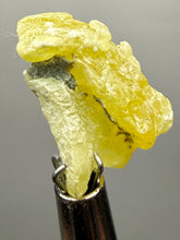 Load image into Gallery viewer, Vibrant Yellow Brucite Thumbnail Mineral Specimen | Collector Crystal from Killa Saifullah District in Balochistan Province, Pakistan