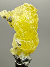 Load image into Gallery viewer, Vibrant Yellow Brucite Thumbnail Mineral Specimen | Collector Crystal from Killa Saifullah District in Balochistan Province, Pakistan