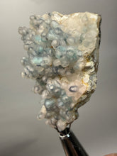 Load image into Gallery viewer, Blue-Green Chrysocolla in Botryoidal Chalcedony Cabinet Specimen | Indonesia