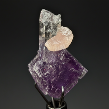 Load image into Gallery viewer, Rhodochrosite + Quartz on Purple Isometric Fluorite (Thumbnail Specimen) | Wutong Mine, China