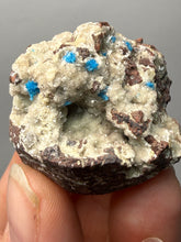 Load image into Gallery viewer, Rare Electric Blue Pentagonite on Druzy Matrix – Collector Mineral Specimen | India