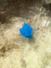 Load image into Gallery viewer, Rare Electric Blue Pentagonite & Cavansite on Druzy Matrix | Collector Mineral Specimen | Wagholi Quarry, India