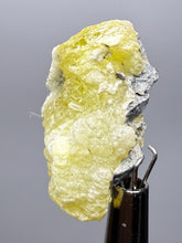 Load image into Gallery viewer, Vibrant Yellow Brucite Thumbnail Mineral Specimen | Collector Crystal from Killa Saifullah District in Balochistan Province, Pakistan