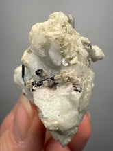 Load image into Gallery viewer, Dark Green Cap Stak Nala Tourmaline and Aquamarine on Cleavelandite Matrix – Haramosh Mountains, Pakistan