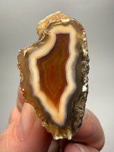 Load image into Gallery viewer, Polished Malawi Agate Half – High-Grade African Banded Agate Display Specimen
