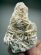 Load image into Gallery viewer, Desert Rose Selenite (Gypsum) — Mineral Display Specimen | Mexico