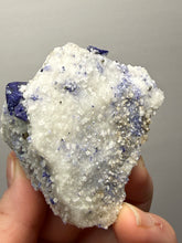 Load image into Gallery viewer, Afghan Lazurite Specimen | Deep Blue Lapis-Grade Crystal on Matrix | Collector Display Mineral