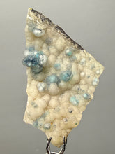 Load image into Gallery viewer, Blue-Green Chrysocolla in Botryoidal Chalcedony Cabinet Specimen | Indonesia