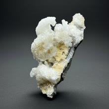 Load image into Gallery viewer, Moroccan Ram’s Horn Selenite (Gypsum) Crystal Display Specimen