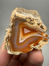 Load image into Gallery viewer, Indonesian Sumatra Agate Half – Vibrant Banded Chalcedony with Rich Color Zoning | Ethical Lapidary & Collector Display Specimens