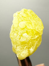 Load image into Gallery viewer, Vibrant Yellow Brucite Thumbnail Mineral Specimen | Collector Crystal from Killa Saifullah District in Balochistan Province, Pakistan
