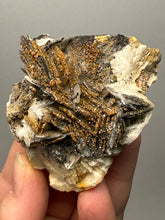 Load image into Gallery viewer, Natural Vanadinite on Matrix | Collector Mineral Specimen | Morocco