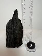 Load image into Gallery viewer, Black Druzy Petrified Wood from Indonesia