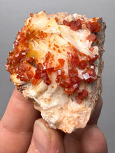 Load image into Gallery viewer, Natural Vanadinite on Matrix | Collector Mineral Specimen | Morocco