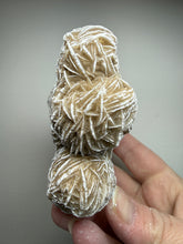 Load image into Gallery viewer, Desert Rose Selenite (Gypsum) — Mineral Display Specimen | Mexico