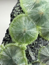 Load image into Gallery viewer, Green Wavellite Cluster Mineral Specimen • Arkansas, USA