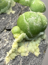 Load image into Gallery viewer, High-Grade Green Wavellite Collectors Specimen - Radiating Botryoidal Crystal Formation - Arkansas, USA
