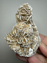 Load image into Gallery viewer, Desert Rose Selenite (Gypsum) — Mineral Display Specimen | Mexico