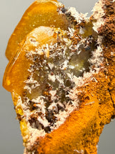 Load image into Gallery viewer, High-Grade Orange Wulfenite Collector Display Specimen | La Morita Mine, Chihuahua, Mexico