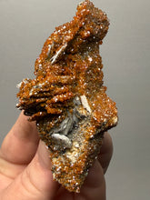 Load image into Gallery viewer, Natural Vanadinite on Matrix | Collector Mineral Specimen | Morocco