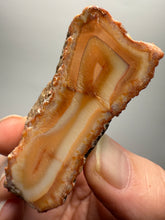 Load image into Gallery viewer, High-Grade Indonesian Sumatra Agate Pair – Vibrant Banded Chalcedony with Rich Color Zoning | Ethical Lapidary & Collector Display Specimens