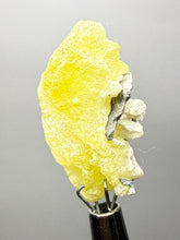 Load image into Gallery viewer, Vibrant Yellow Brucite Thumbnail Mineral Specimen | Collector Crystal from Killa Saifullah District in Balochistan Province, Pakistan