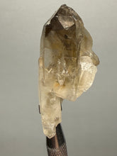 Load image into Gallery viewer, Smoky Quartz Crystal Specimen | Natural Collector Mineral – Brazil